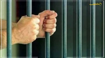 10 سنوات سجن مشدد.. أكبر شبكة لتزوير الشهادات الجامعية تتلقى عقوبة حاسمة 1